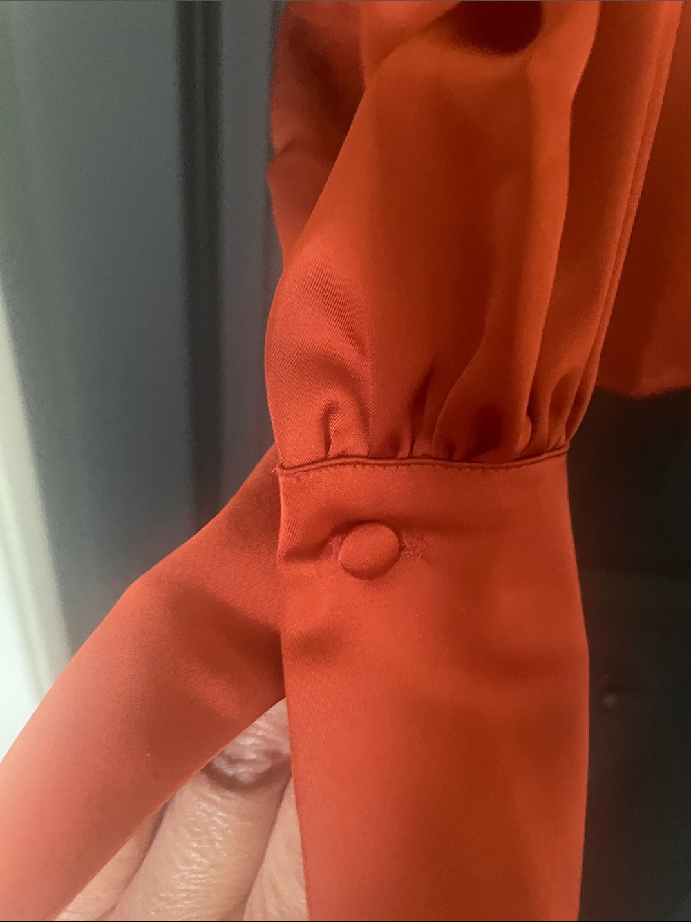 RW Rust Blouse - Picture 4 of 6